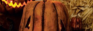 Pumpkinrot